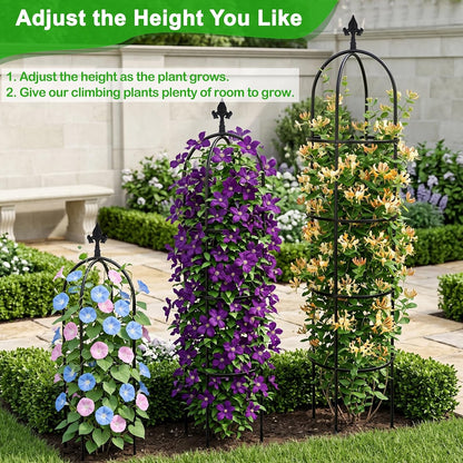 2 Pack 6 Ft Heavy Duty Metal Garden Obelisk Trellis for Climbing Plants, Rust‑Resistant Black Steel Vine Support for Rose Clematis Jasmine, Potted Flower Stand Indoor & Outdoor Decor (Bird)