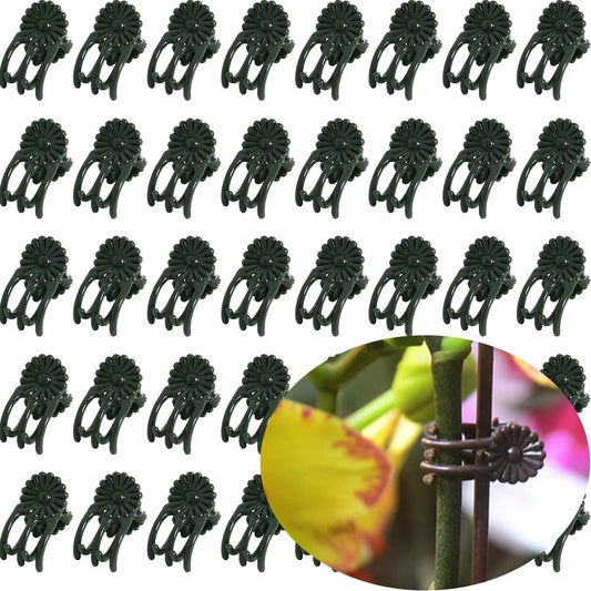 40-PCs Orchid Clips for Plants Support - Dark Green, for Small - Middle Climbing Plants Vine Plants & Single Stem Plants