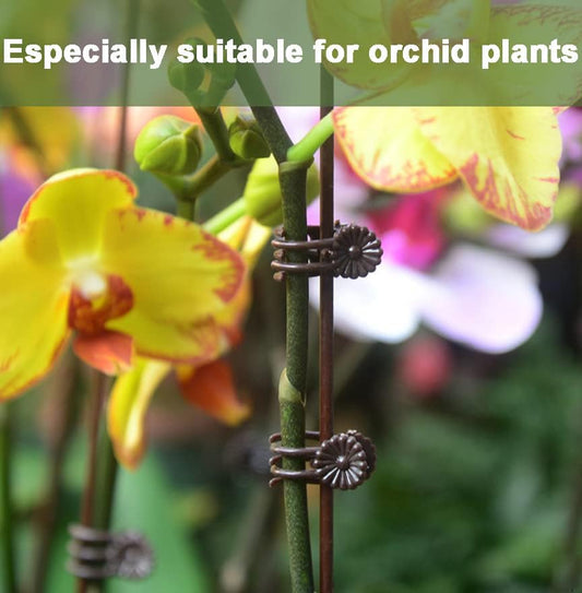 40-PCs Orchid Clips for Plants Support - Dark Green, for Small - Middle Climbing Plants Vine Plants & Single Stem Plants