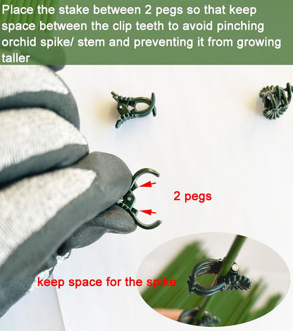 40-PCs Orchid Clips for Plants Support - Dark Green, for Small - Middle Climbing Plants Vine Plants & Single Stem Plants