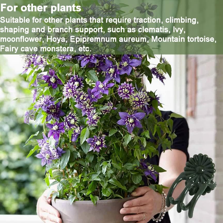 40-PCs Orchid Clips for Plants Support - Dark Green, for Small - Middle Climbing Plants Vine Plants & Single Stem Plants