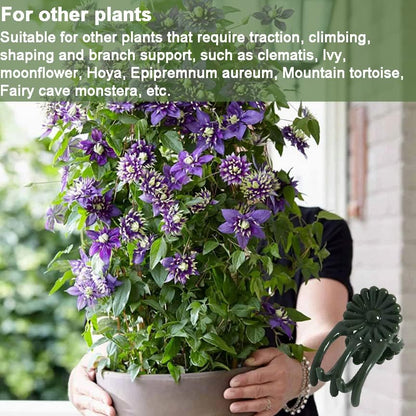 40-PCs Orchid Clips for Plants Support - Dark Green, for Small - Middle Climbing Plants Vine Plants & Single Stem Plants