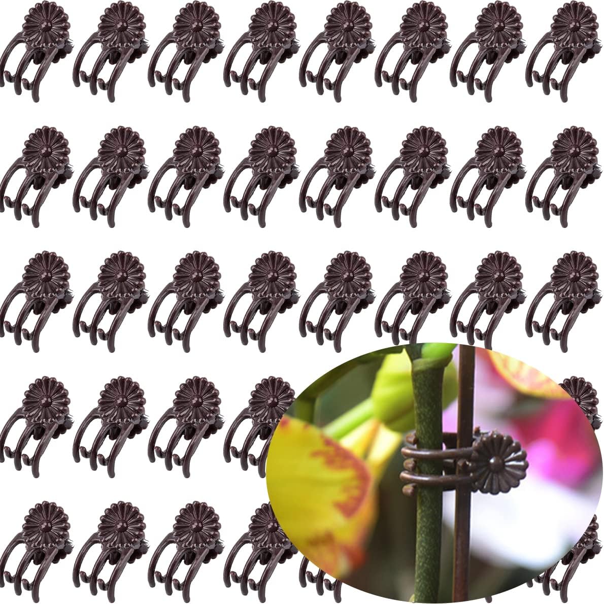 40-PCs Orchid Clips for Plants Support - Dark Green, for Small - Middle Climbing Plants Vine Plants & Single Stem Plants