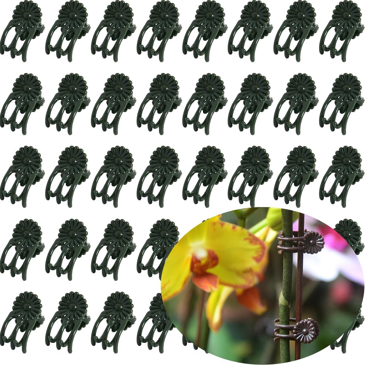 40-PCs Orchid Clips for Plants Support - Dark Green, for Small - Middle Climbing Plants Vine Plants & Single Stem Plants