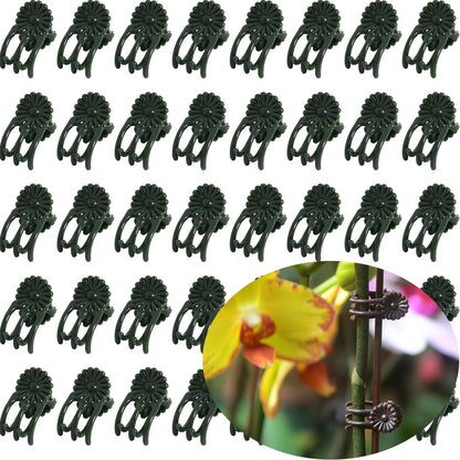 40-PCs Orchid Clips for Plants Support - Dark Green, for Small - Middle Climbing Plants Vine Plants & Single Stem Plants