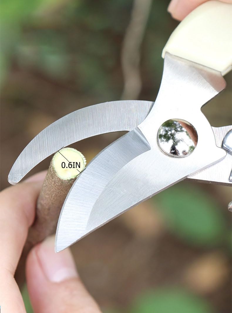 Professional Premium Titanium Bypass Pruning Shears, Hand Pruners, Garden Clippers, Tree Trimmers Secateurs, Garden Shears, Clippers for The Garden,6.9"