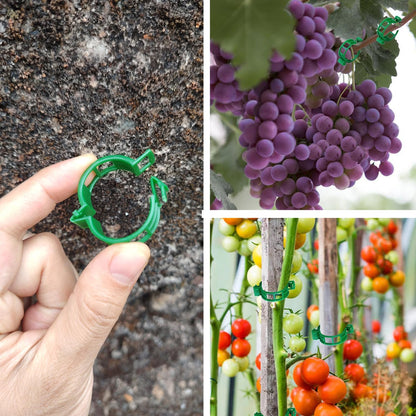 Plant Support Clips, Tomato Clips, Plastic Trellis Clips, 50 Pcs Grape Vine Tomato Vine Vegetables Plants Garden Support Clips to Grow Upright Makes Plants Healthier