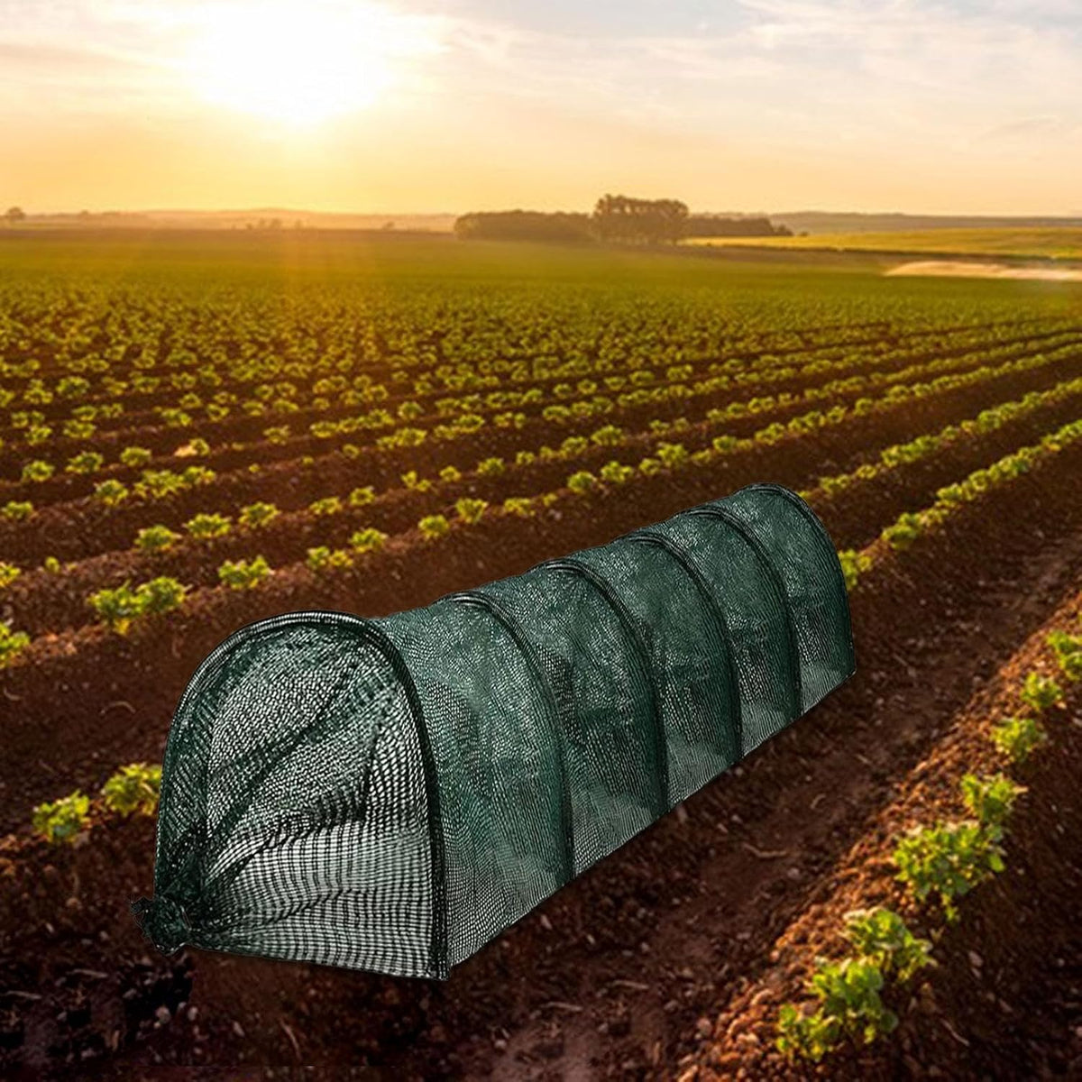 Garden Tunnel Shade Net Cover Greenhouse Protection from Sun and Heat Cloche Hoops Tunnel Plant Row Cover, Green