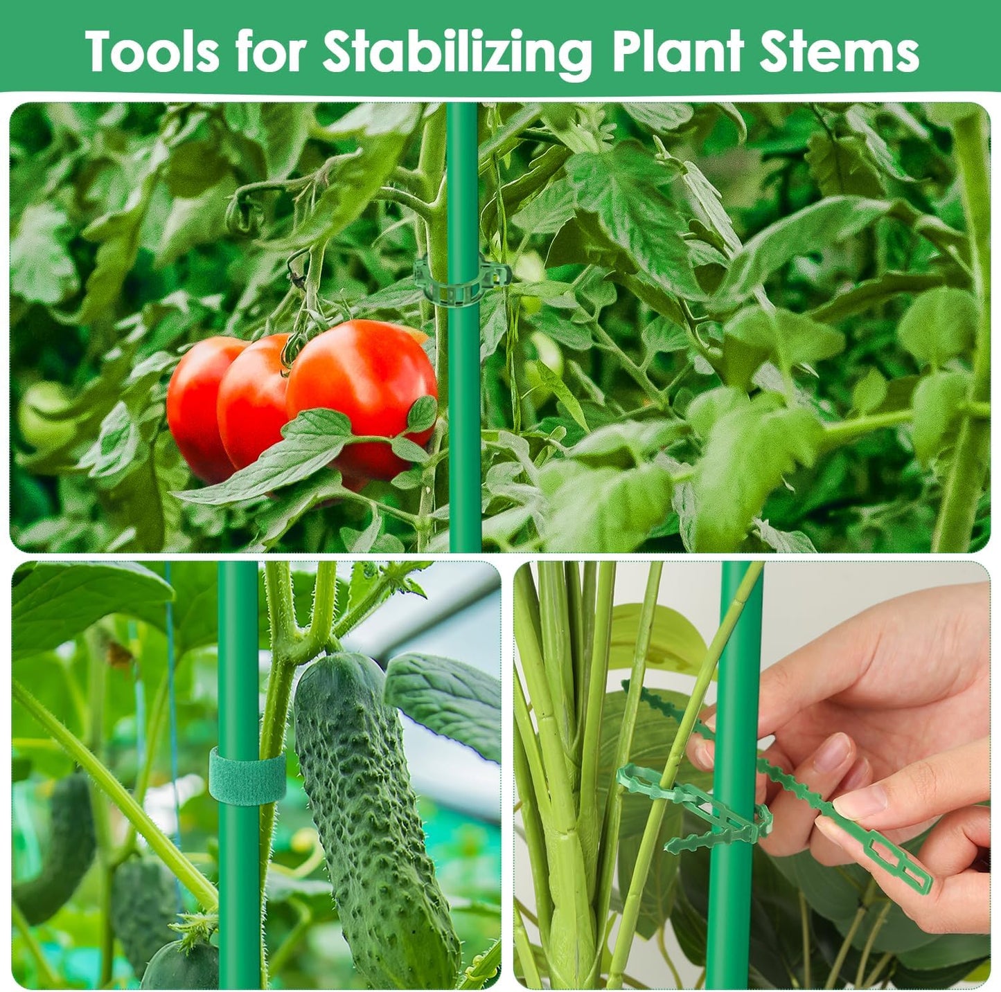 Cucumber Trellis for Raised Bed, Tall Metal Garden Trellis for Climbing Plants Outdoor with Netting, Gloves, Garden Tools, Trellis for Vegetables Plant Support Peas Fruit Flower Grape