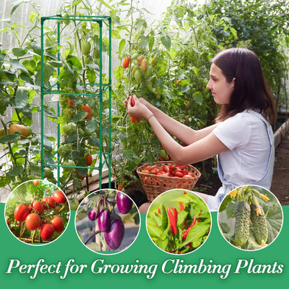 Cucumber Trellis for Raised Bed, Tall Metal Garden Trellis for Climbing Plants Outdoor with Netting, Gloves, Garden Tools, Trellis for Vegetables Plant Support Peas Fruit Flower Grape