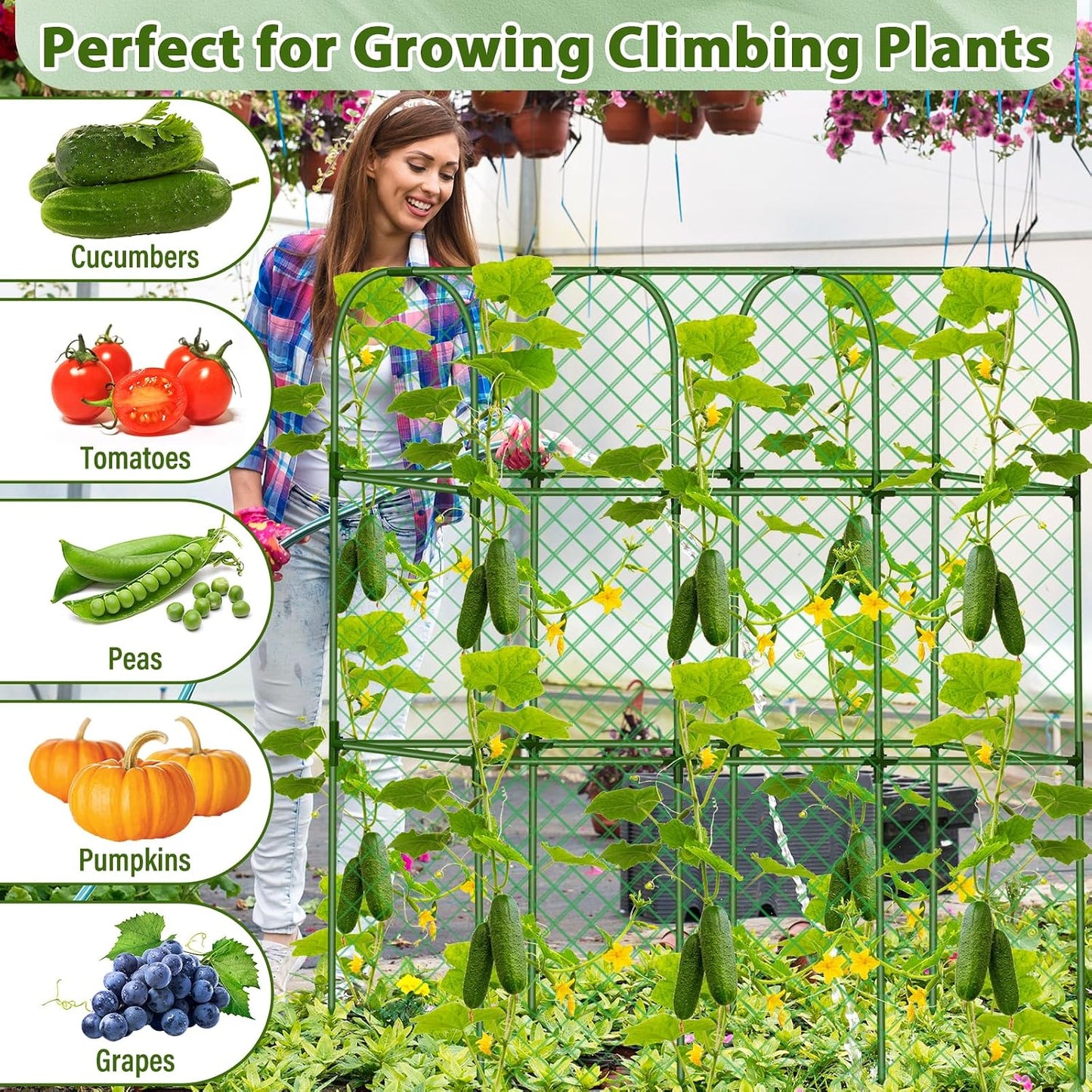 Cucumber Trellis for Raised Bed, Tall Metal Garden Trellis for Climbing Plants Outdoor with Netting, Gloves, Garden Tools, Trellis for Vegetables Plant Support Peas Fruit Flower Grape