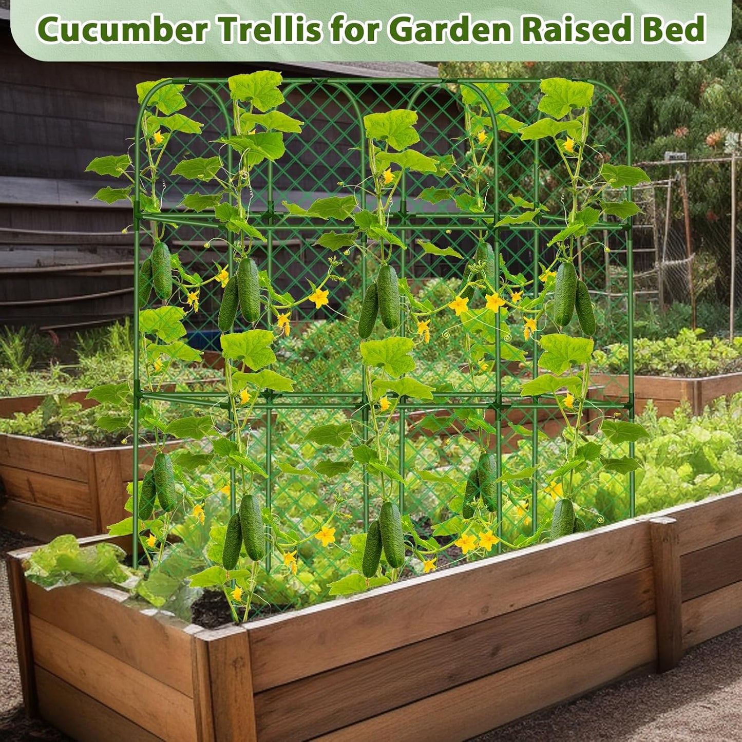 Cucumber Trellis for Raised Bed, Tall Metal Garden Trellis for Climbing Plants Outdoor with Netting, Gloves, Garden Tools, Trellis for Vegetables Plant Support Peas Fruit Flower Grape