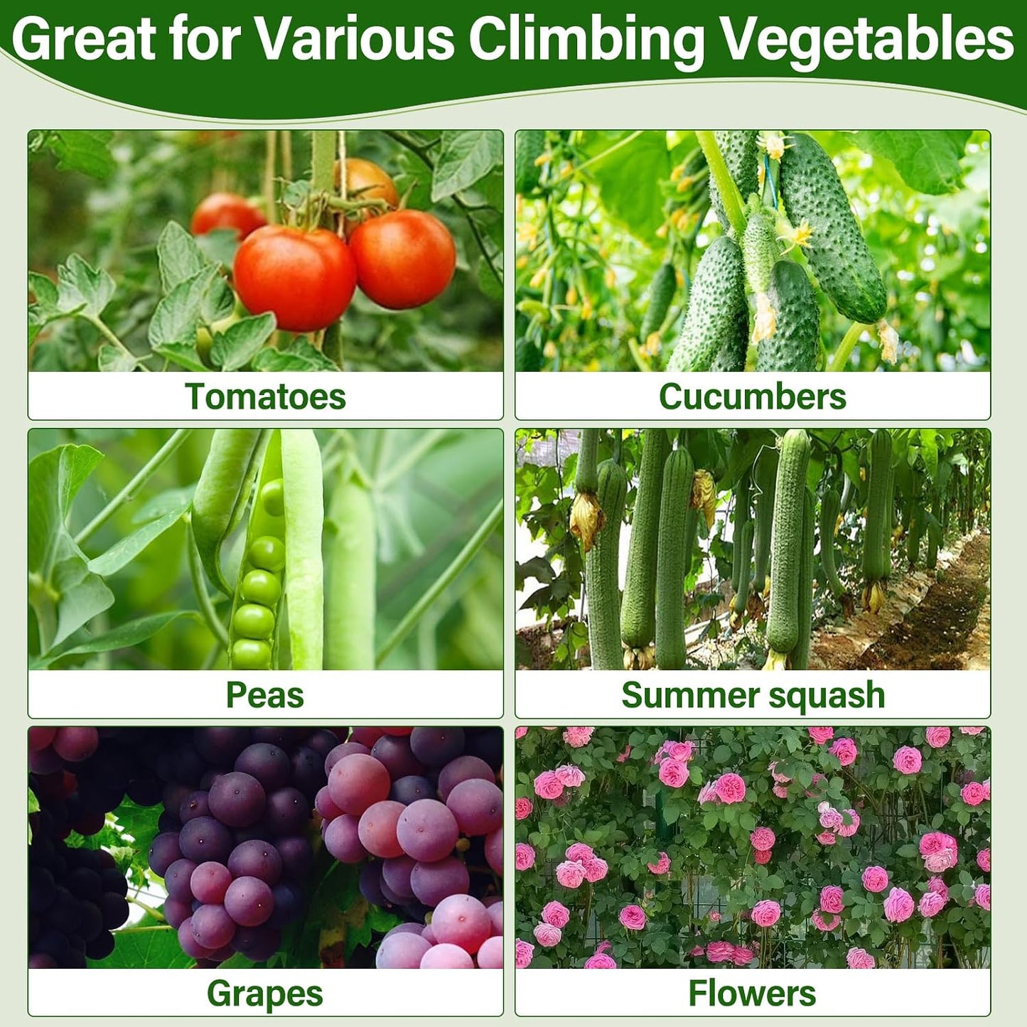Cucumber Trellis for Raised Bed, Tall Metal Garden Trellis for Climbing Plants Outdoor with Netting, Gloves, Garden Tools, Trellis for Vegetables Plant Support Peas Fruit Flower Grape