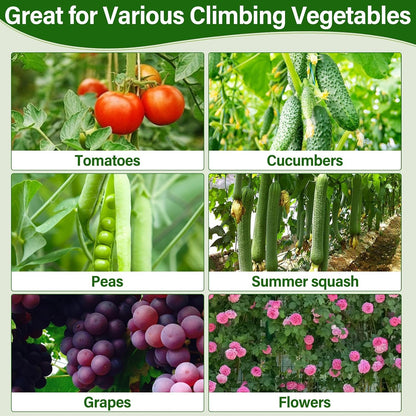 Cucumber Trellis for Raised Bed, Tall Metal Garden Trellis for Climbing Plants Outdoor with Netting, Gloves, Garden Tools, Trellis for Vegetables Plant Support Peas Fruit Flower Grape