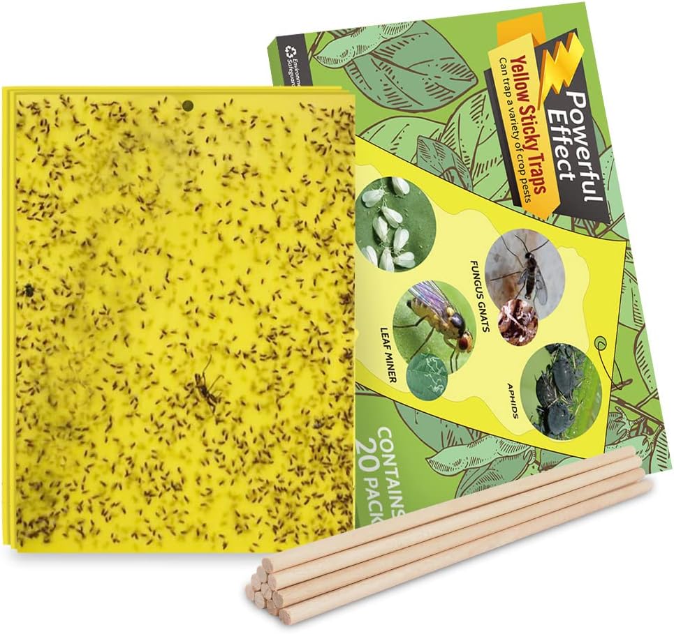 20-Pack Fruit Fly Trap, Yellow Sticky Gnat Traps, 6x8 in