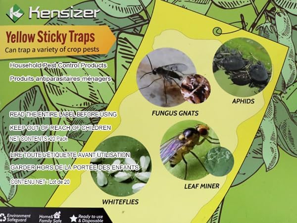 20-Pack Fruit Fly Trap, Yellow Sticky Gnat Traps, 6x8 in