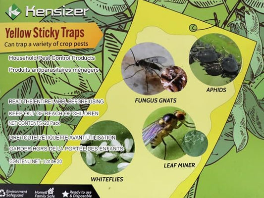 20-Pack Fruit Fly Trap, Yellow Sticky Gnat Traps, 6x8 in