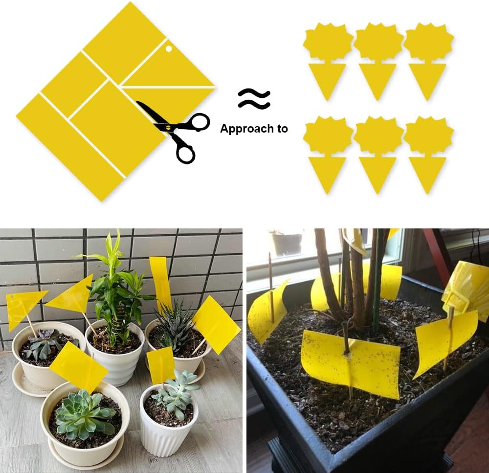 20-Pack Fruit Fly Trap, Yellow Sticky Gnat Traps, 6x8 in