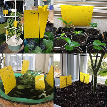 20-Pack Fruit Fly Trap, Yellow Sticky Gnat Traps, 6x8 in
