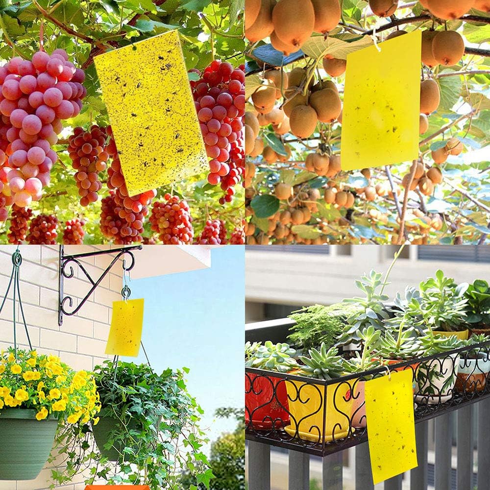 20-Pack Fruit Fly Trap, Yellow Sticky Gnat Traps, 6x8 in
