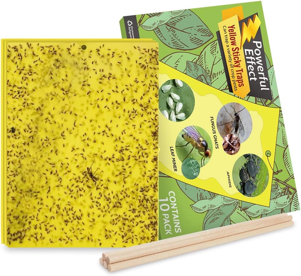 20-Pack Fruit Fly Trap, Yellow Sticky Gnat Traps, 6x8 in