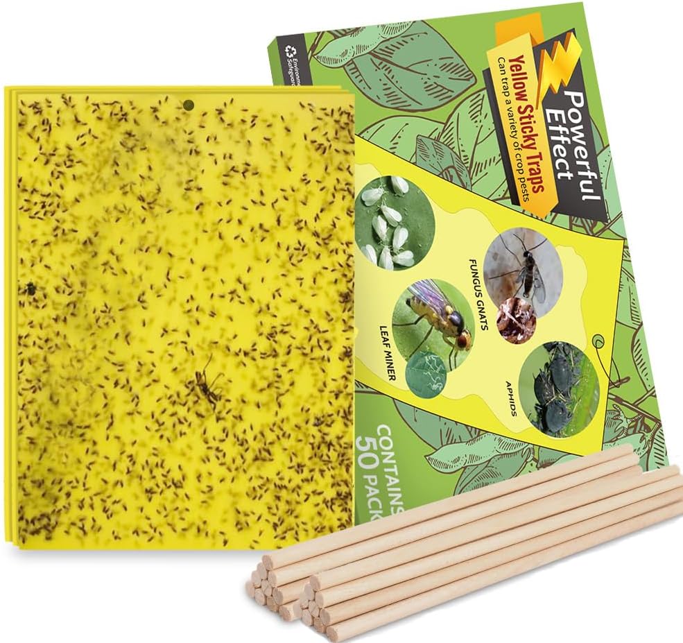 20-Pack Fruit Fly Trap, Yellow Sticky Gnat Traps, 6x8 in