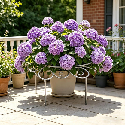Metal Cloud-Shaped Plant Support Pole, Decorative Spiral Garden Bracket, Suitable for Climbing Plants, Peonies, Dahlias, and Other Flowers; Ideal for Decorating courtyards, lawns, and patios (Small)