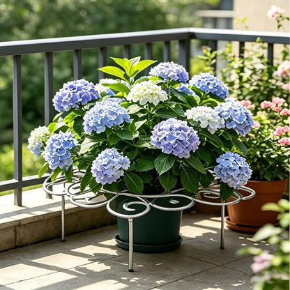 Metal Cloud-Shaped Plant Support Pole, Decorative Spiral Garden Bracket, Suitable for Climbing Plants, Peonies, Dahlias, and Other Flowers; Ideal for Decorating courtyards, lawns, and patios (Small)