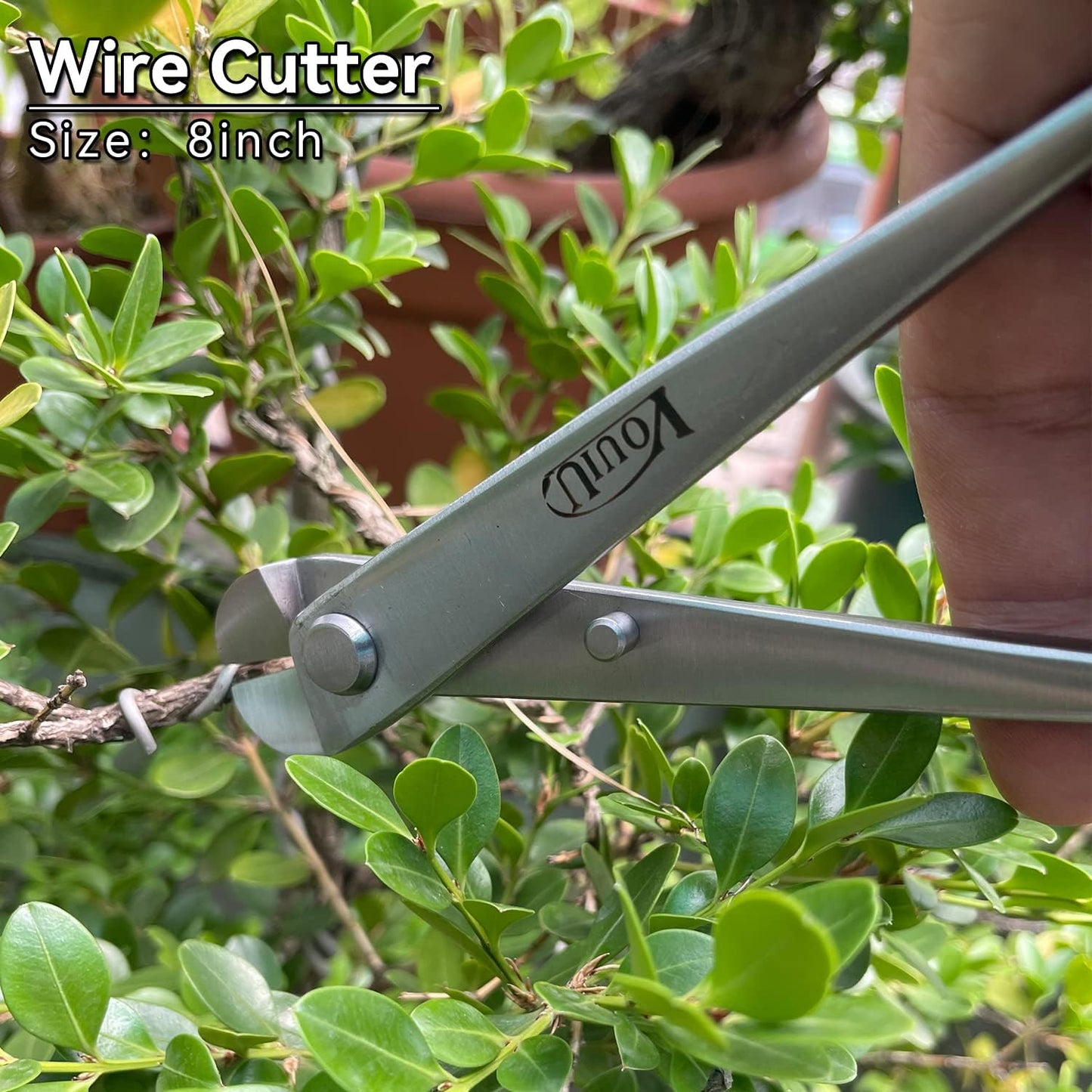 6-Piece Bonsai Tool Set,Concave Cutter,Knob Cutter,Jin Pliers,Wire Cutter,Bonsai Scissors, Root Hook