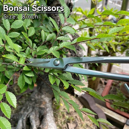 6-Piece Bonsai Tool Set,Concave Cutter,Knob Cutter,Jin Pliers,Wire Cutter,Bonsai Scissors, Root Hook
