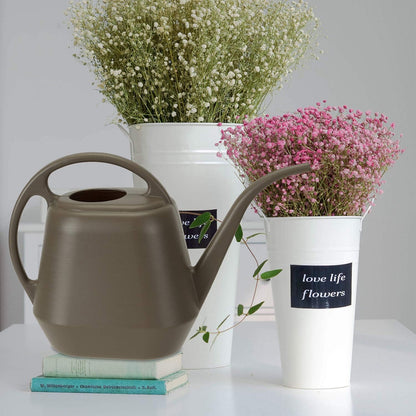 Plastic Watering Can, 1-Gallon, Deep Gray