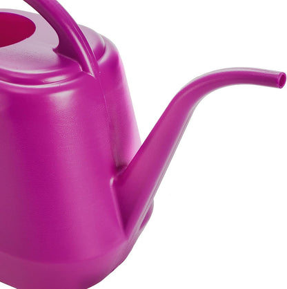 Plastic Watering Can, 1-Gallon, Deep Gray