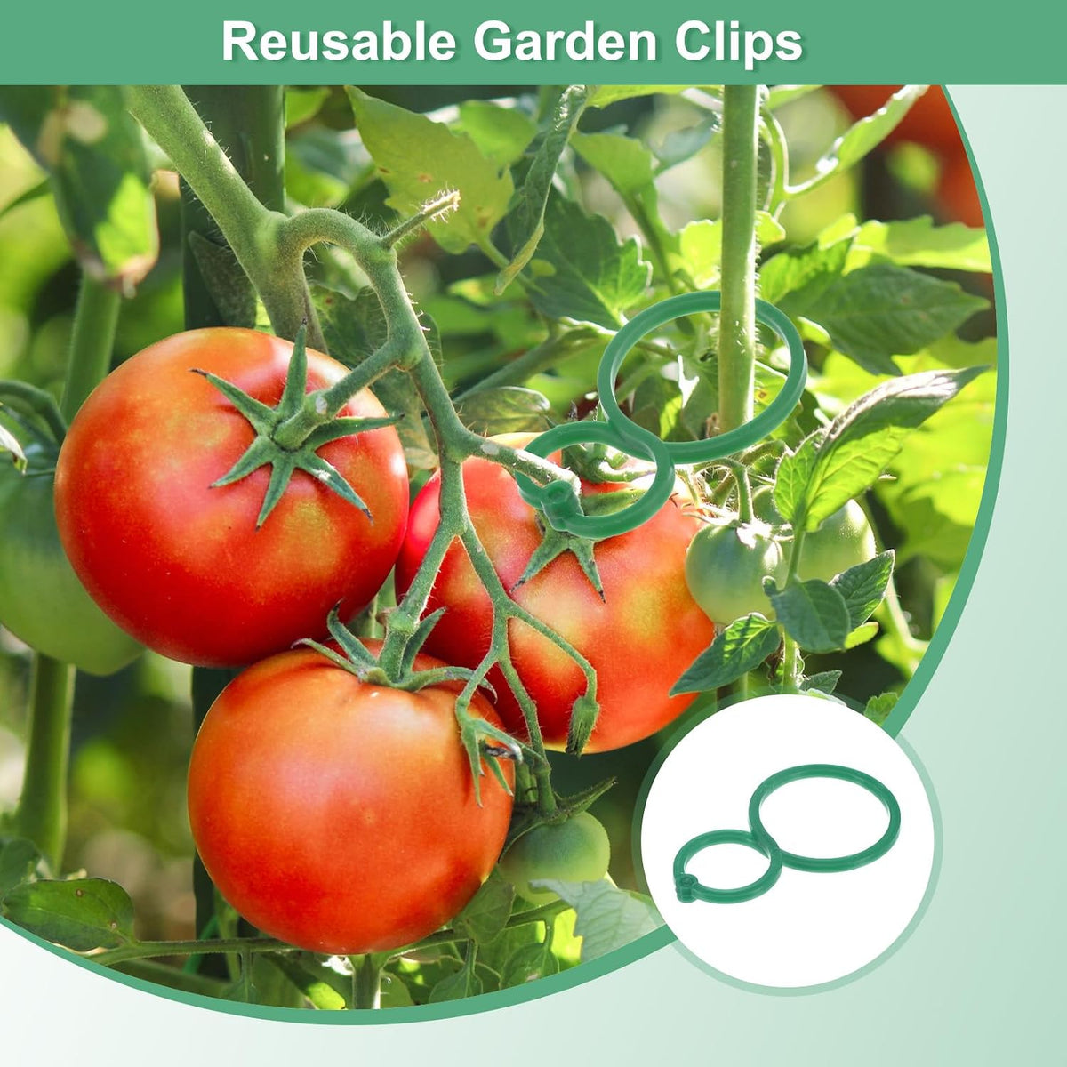 50-Pack Plant Support Clips, 2.4" x 1.6" x 0.08"(l x W x H) Plant Twist Clip Ties, Plastic Plant Clips, Tomato Vine Flower Cucumber Plastic Plant Clip for Plant Locks