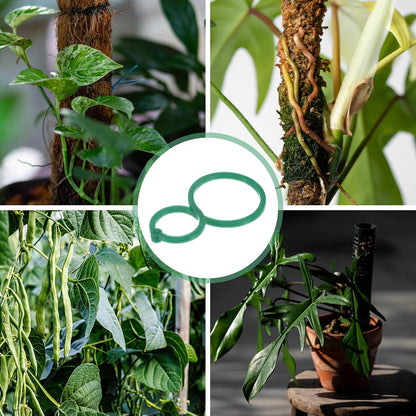 50-Pack Plant Support Clips, 2.4" x 1.6" x 0.08"(l x W x H) Plant Twist Clip Ties, Plastic Plant Clips, Tomato Vine Flower Cucumber Plastic Plant Clip for Plant Locks