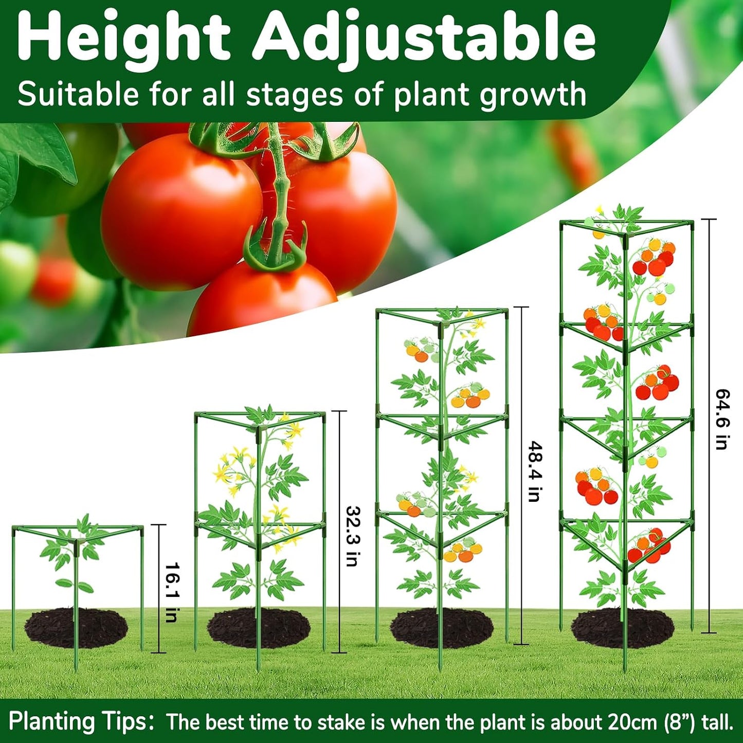 65 Inch 4 Pack Heavy Duty Tall Tomato Cages for Garden