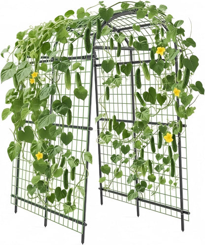 Cucumber Trellis for Raised Bed, 7FT Tall Garden Arch Trellis for Climbing Plants Outdoor, Heavy Duty Metal Vegetable Arbor with Strong Bolt Assembly & Outdoor-Ready Stakes