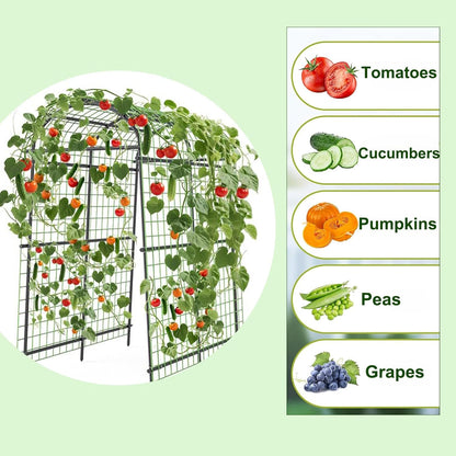 Cucumber Trellis for Raised Bed, 7FT Tall Garden Arch Trellis for Climbing Plants Outdoor, Heavy Duty Metal Vegetable Arbor with Strong Bolt Assembly & Outdoor-Ready Stakes