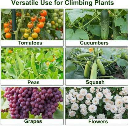 Cucumber Trellis for Raised Bed, 7FT Tall Garden Arch Trellis for Climbing Plants Outdoor, Heavy Duty Metal Vegetable Arbor with Strong Bolt Assembly & Outdoor-Ready Stakes