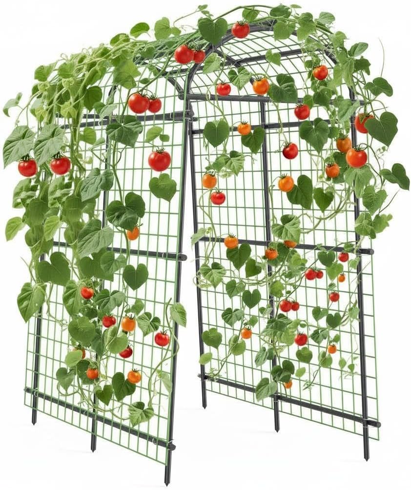 Cucumber Trellis for Raised Bed, 7FT Tall Garden Arch Trellis for Climbing Plants Outdoor, Heavy Duty Metal Vegetable Arbor with Strong Bolt Assembly & Outdoor-Ready Stakes