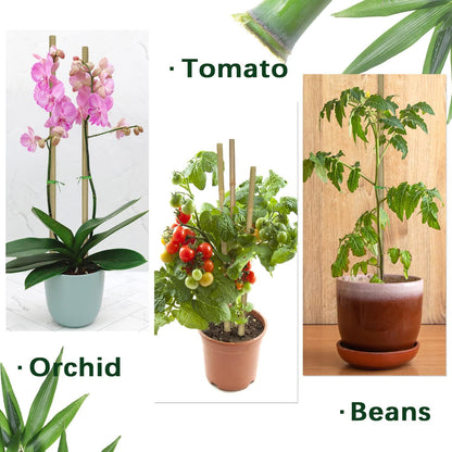 Plant Stakes,18IN Natural Garden Bamboo Sticks, 20Pcs Plant Support Stakes