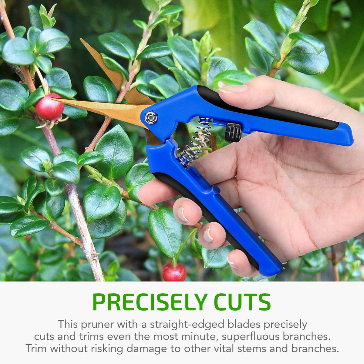 6.5 inch Pruning Shears for Gardening Trimming Scissors, Hand Pruner, Stainless Steel, Yellow