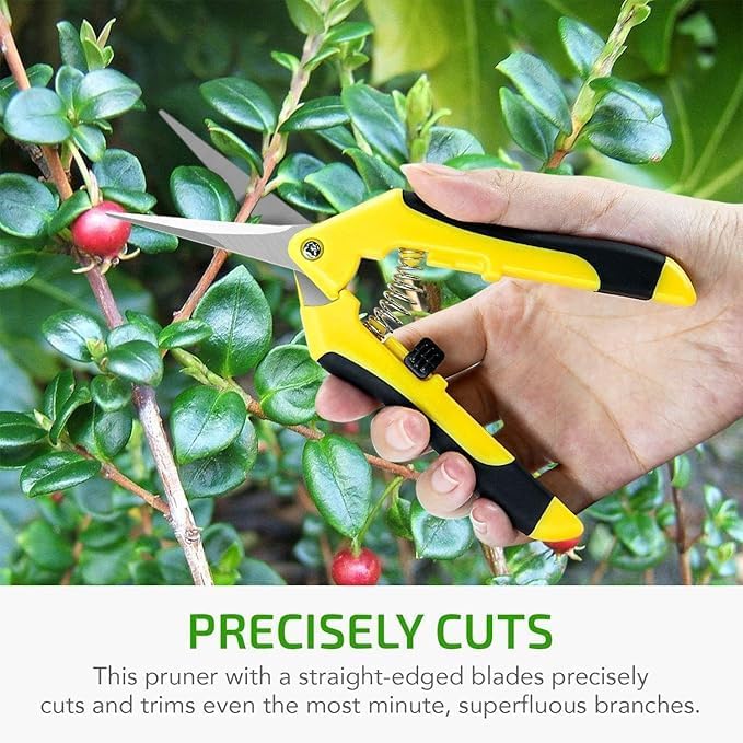6.5 inch Pruning Shears for Gardening Trimming Scissors, Hand Pruner, Stainless Steel, Yellow