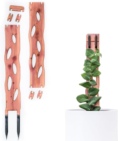 Zella Regular Starter Kit – Wooden Extendable Plant Trellis for Indoor Climbing Houseplants – Modular Plant Support with 2 Bases + 2 Extensions - Moss Pole Alternative
