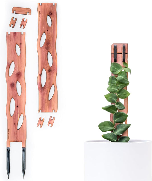 Zella Regular Starter Kit – Wooden Extendable Plant Trellis for Indoor Climbing Houseplants – Modular Plant Support with 2 Bases + 2 Extensions - Moss Pole Alternative