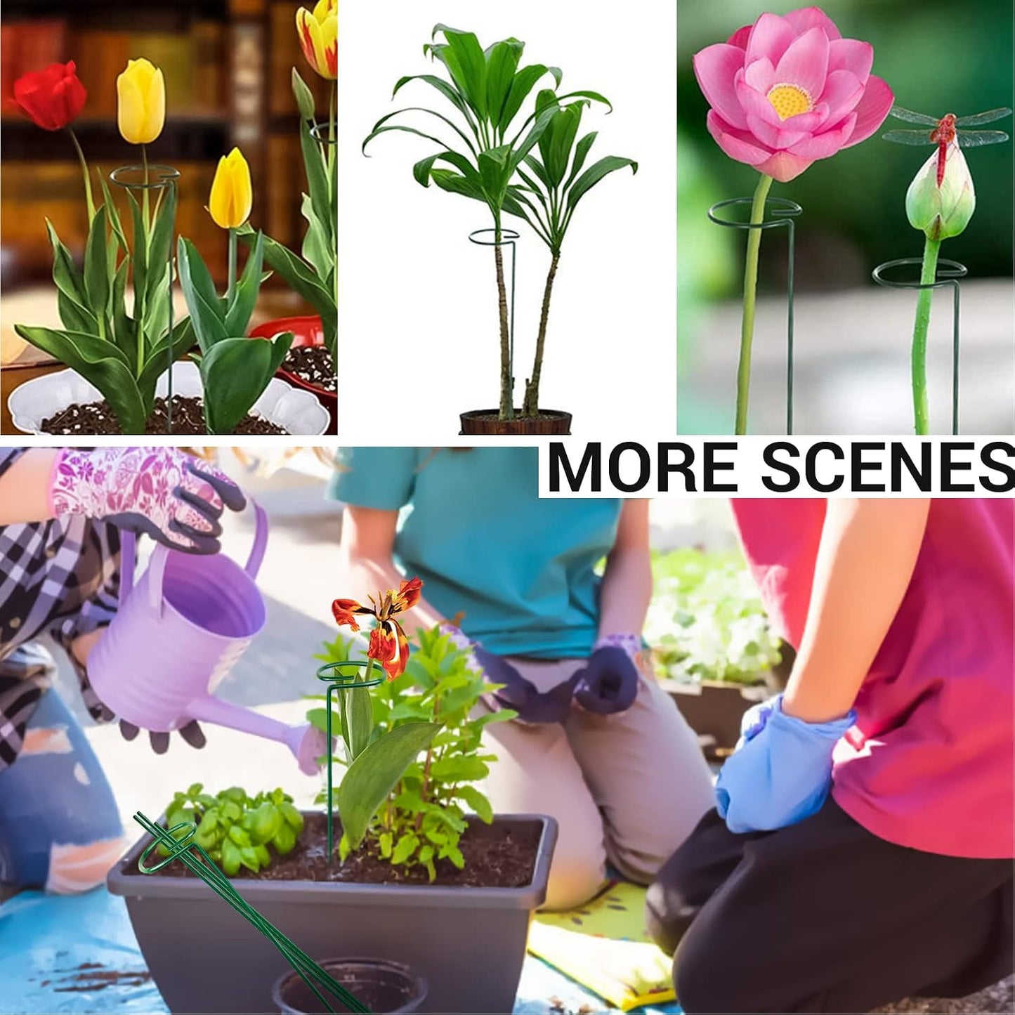 4PCS Garden Plant Stakes for Flowers, Garden Metal Single Stem Plant Support, Garden Flower Support for Indoor Plants Tomatoes, Amaryllis, Orchid, Peony, Lily, Rose -15.9Inch