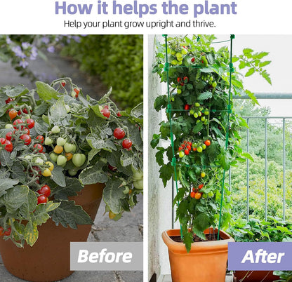6 Pack Tomato Cage for Garden- Upgrade 36 Inches Adjustable Plant Support Cage,Cucumber,Rose,Flowers,Fruit,Trellis for Climbing Plants Outdoor/Inodoor
