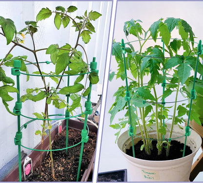 6 Pack Tomato Cage for Garden- Upgrade 36 Inches Adjustable Plant Support Cage,Cucumber,Rose,Flowers,Fruit,Trellis for Climbing Plants Outdoor/Inodoor
