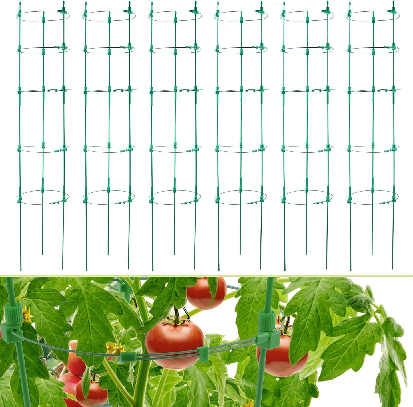 6 Pack Tomato Cage for Garden- Upgrade 36 Inches Adjustable Plant Support Cage,Cucumber,Rose,Flowers,Fruit,Trellis for Climbing Plants Outdoor/Inodoor