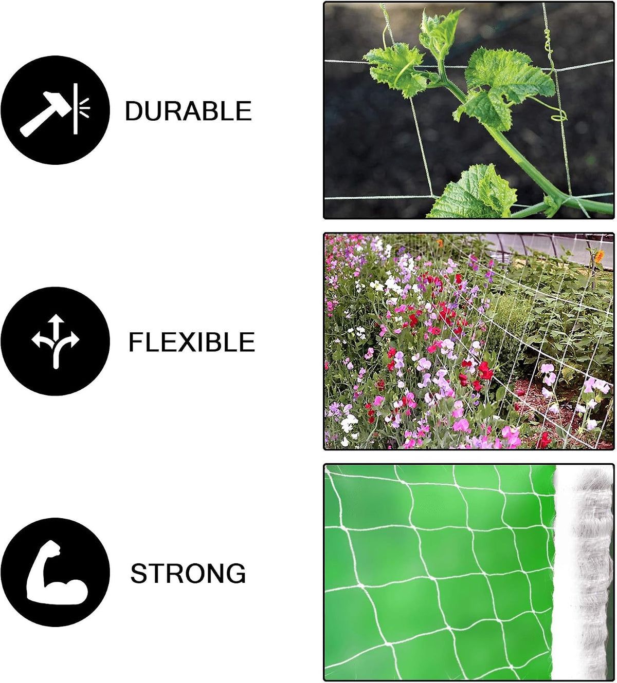 Professional Grade Trellis Netting Bulk Roll, 6.5ft x 4920ft (78" x 4920' | 1.98m x 1500m), 6" (15 cm) Squares, Heavy Duty Scrog Net with Trimming Scissors
