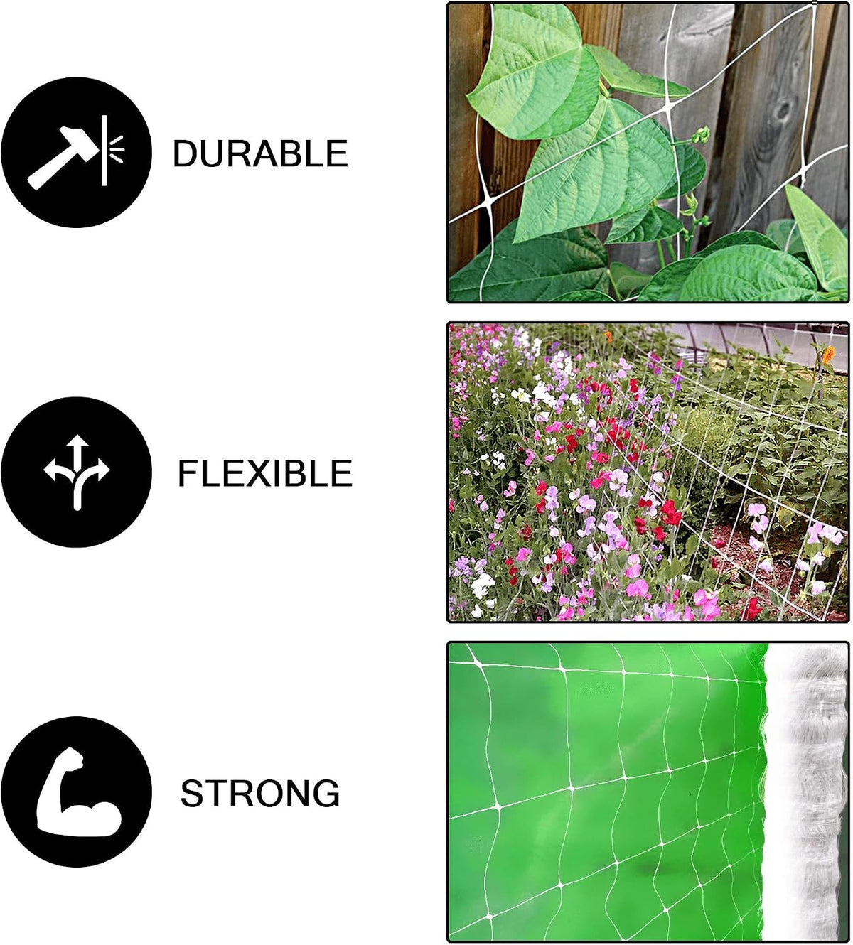 Professional Grade Trellis Netting Bulk Roll, 6.5ft x 4920ft (78" x 4920' | 1.98m x 1500m), 6" (15 cm) Squares, Heavy Duty Scrog Net with Trimming Scissors
